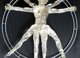 Vitruvian Man 2012  (sold)