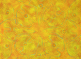 LSD # 4, Yellow Sunshine (sold)